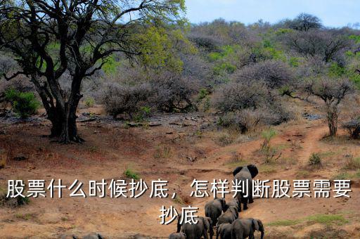 股票什么時(shí)候抄底，怎樣判斷股票需要抄底