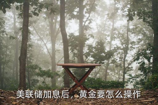 美聯(lián)儲加息后，黃金要怎么操作