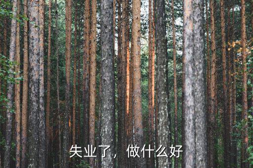 失業(yè)了，做什么好