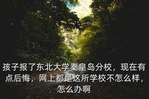 孩子報了東北大學秦皇島分校，現(xiàn)在有點后悔，網(wǎng)上都是這所學校不怎么樣，怎么辦啊