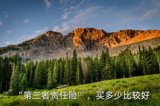“第三者責(zé)任險(xiǎn)”，買多少比較好