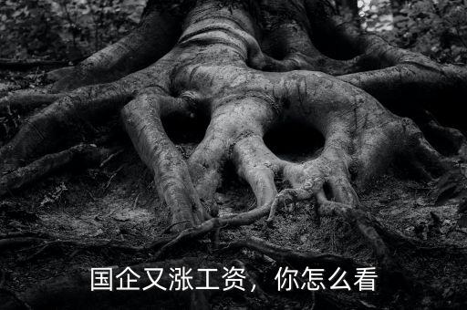 國(guó)企又漲工資，你怎么看