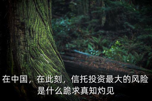在中國，在此刻，信托投資最大的風(fēng)險是什么跪求真知灼見