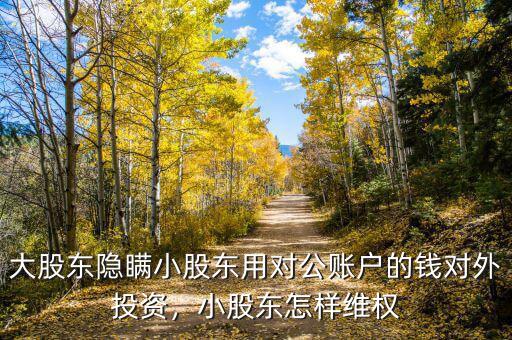大股東隱瞞小股東用對(duì)公賬戶的錢對(duì)外投資，小股東怎樣維權(quán)
