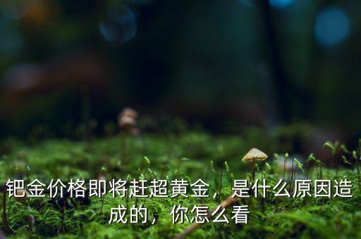 鈀金價(jià)格即將趕超黃金，是什么原因造成的，你怎么看