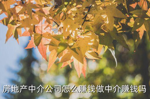 房產(chǎn)中介是怎么賺錢(qián)的,賣房子的中介公司怎么掙錢(qián)