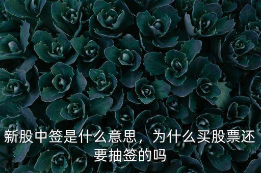 新股中簽是什么意思，為什么買股票還要抽簽的嗎