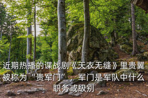近期熱播的諜戰(zhàn)劇《天衣無縫》里貴翼被稱為“貴軍門”，軍門是軍隊中什么職務(wù)或級別