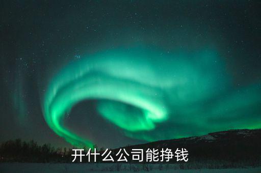 開(kāi)什么公司能掙錢