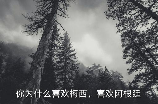 你為什么喜歡梅西，喜歡阿根廷
