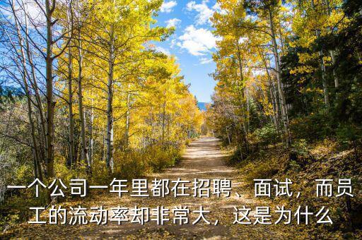一個(gè)公司一年里都在招聘、面試，而員工的流動(dòng)率卻非常大，這是為什么