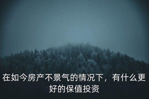 在如今房產(chǎn)不景氣的情況下，有什么更好的保值投資