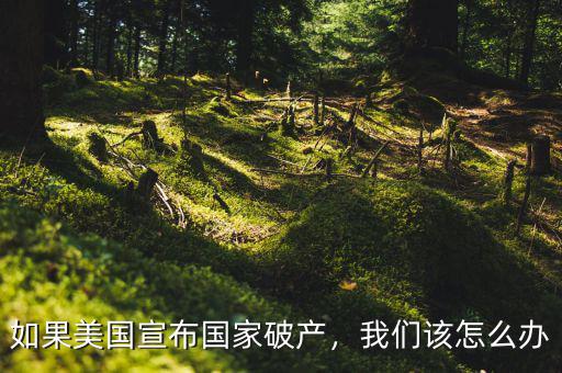 如果美國宣布國家破產(chǎn)，我們?cè)撛趺崔k