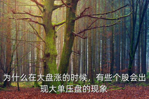 為什么在大盤漲的時候，有些個股會出現(xiàn)大單壓盤的現(xiàn)象