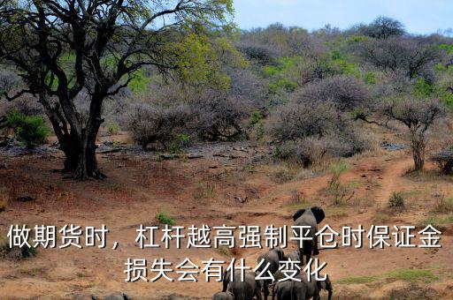 做期貨時(shí)，杠桿越高強(qiáng)制平倉時(shí)保證金損失會有什么變化