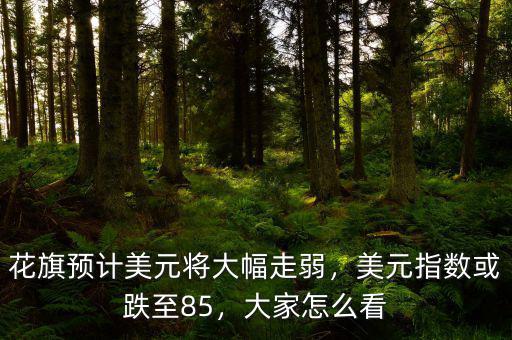 花旗預(yù)計(jì)美元將大幅走弱，美元指數(shù)或跌至85，大家怎么看