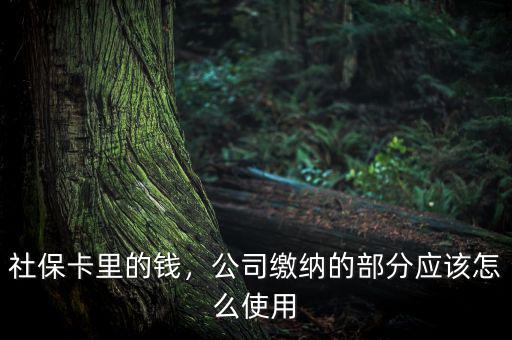 公司交的社保怎么用,社?？ɡ锏腻X