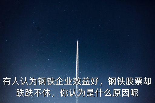 有人認(rèn)為鋼鐵企業(yè)效益好，鋼鐵股票卻跌跌不休，你認(rèn)為是什么原因呢