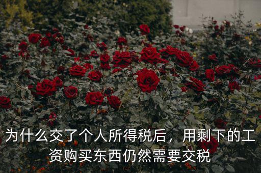 為什么交了個(gè)人所得稅后，用剩下的工資購(gòu)買東西仍然需要交稅