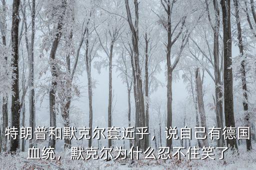 特朗普和默克爾套近乎，說自己有德國(guó)血統(tǒng)，默克爾為什么忍不住笑了