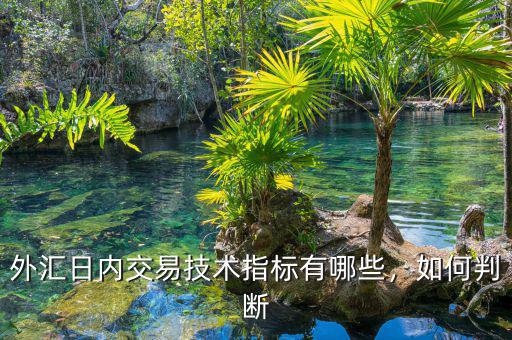 外匯日內(nèi)交易技術(shù)指標(biāo)有哪些，如何判斷
