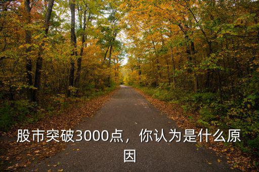 股市突破3000點，你認(rèn)為是什么原因