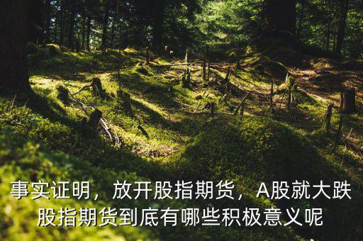 事實證明，放開股指期貨，A股就大跌股指期貨到底有哪些積極意義呢