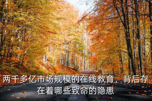兩千多億市場(chǎng)規(guī)模的在線教育，背后存在著哪些致命的隱患