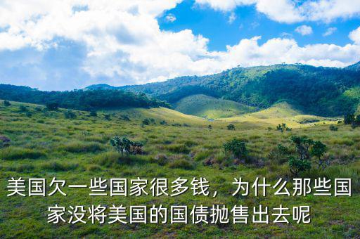 美國欠一些國家很多錢，為什么那些國家沒將美國的國債拋售出去呢