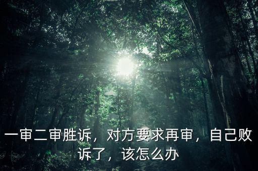 一審二審勝訴，對方要求再審，自己敗訴了，該怎么辦