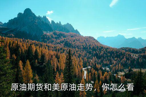 原油期貨和美原油走勢，你怎么看