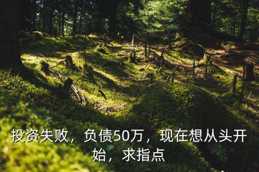 投資失敗，負(fù)債50萬(wàn)，現(xiàn)在想從頭開(kāi)始，求指點(diǎn)