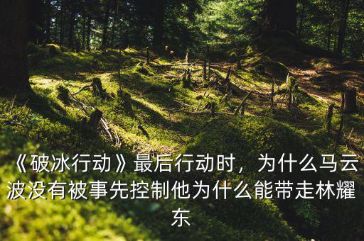 《破冰行動》最后行動時，為什么馬云波沒有被事先控制他為什么能帶走林耀東