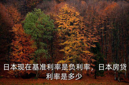 日本現(xiàn)在基準(zhǔn)利率是負(fù)利率，日本房貸利率是多少