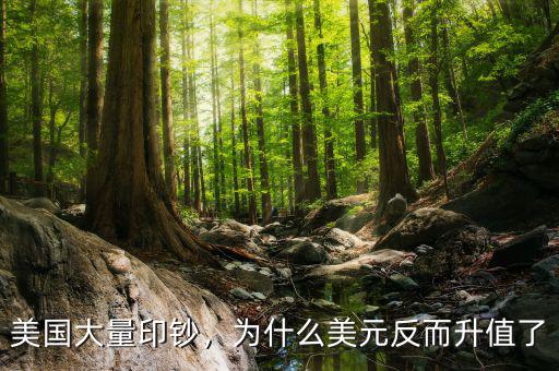 美國(guó)大量印鈔，為什么美元反而升值了