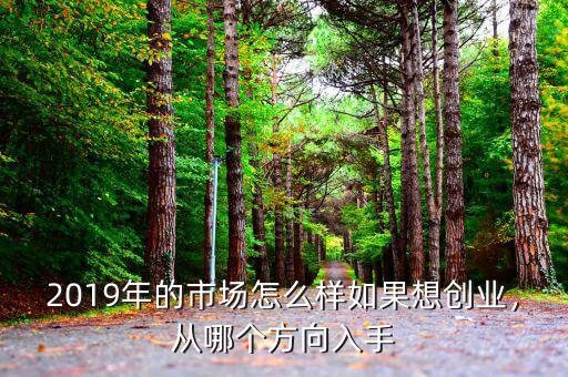 2019年的市場怎么樣如果想創(chuàng)業(yè)，從哪個方向入手