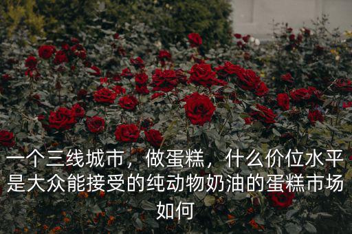 一個三線城市，做蛋糕，什么價位水平是大眾能接受的純動物奶油的蛋糕市場如何