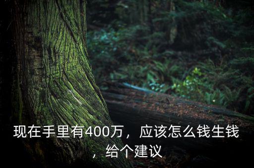 現(xiàn)在手里有400萬(wàn)，應(yīng)該怎么錢生錢，給個(gè)建議