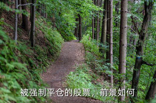 被強(qiáng)制平倉(cāng)的股票，前景如何
