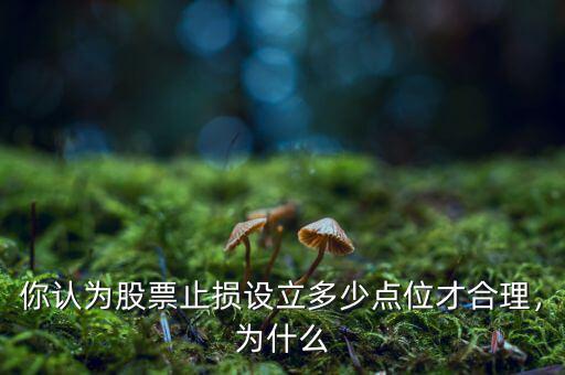 你認(rèn)為股票止損設(shè)立多少點(diǎn)位才合理，為什么