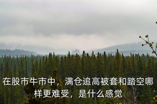 在股市牛市中，滿倉追高被套和踏空哪樣更難受，是什么感覺