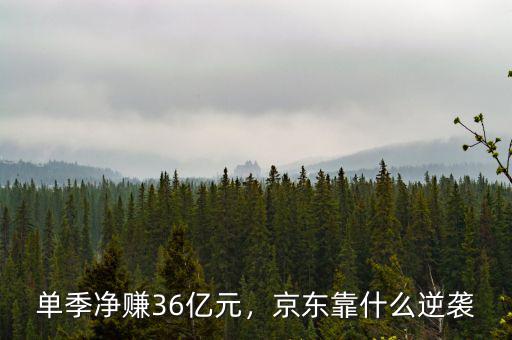 單季凈賺36億元，京東靠什么逆襲
