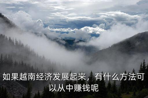 如果越南經(jīng)濟(jì)發(fā)展起來，有什么方法可以從中賺錢呢