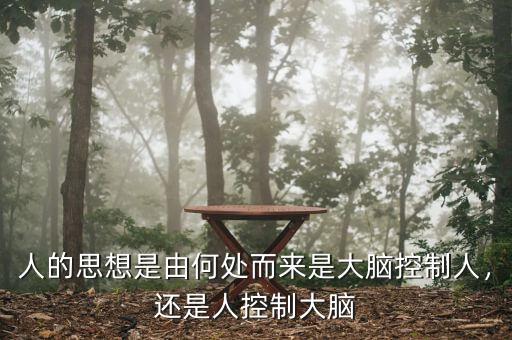 人的思想是由何處而來(lái)是大腦控制人，還是人控制大腦