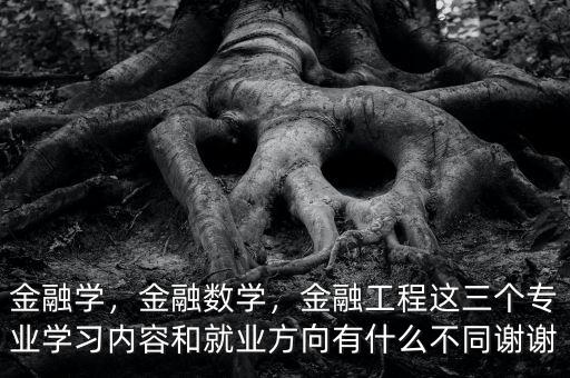 金融學(xué)，金融數(shù)學(xué)，金融工程這三個專業(yè)學(xué)習(xí)內(nèi)容和就業(yè)方向有什么不同謝謝