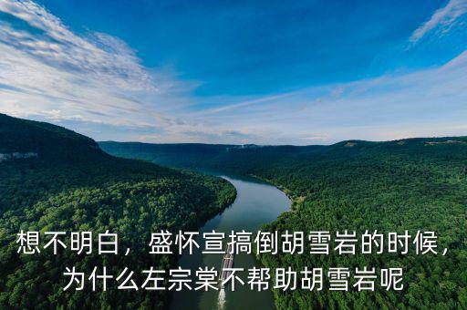 想不明白，盛懷宣搞倒胡雪巖的時(shí)候，為什么左宗棠不幫助胡雪巖呢
