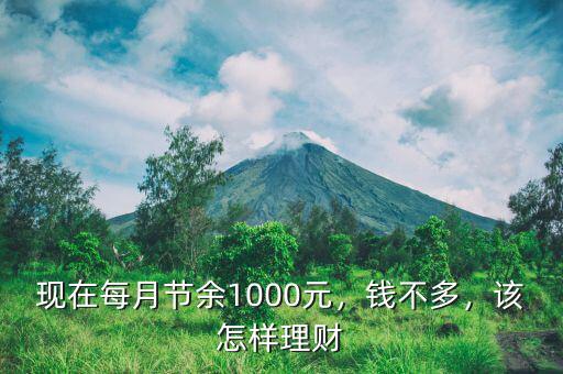 現(xiàn)在每月節(jié)余1000元，錢不多，該怎樣理財(cái)