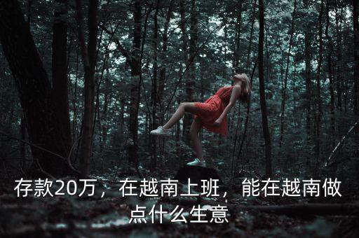 存款20萬，在越南上班，能在越南做點什么生意