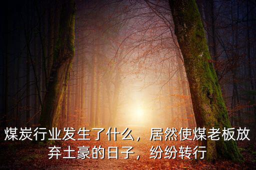 煤炭行業(yè)發(fā)生了什么，居然使煤老板放棄土豪的日子，紛紛轉行
