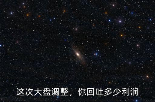 這次大盤調整，你回吐多少利潤